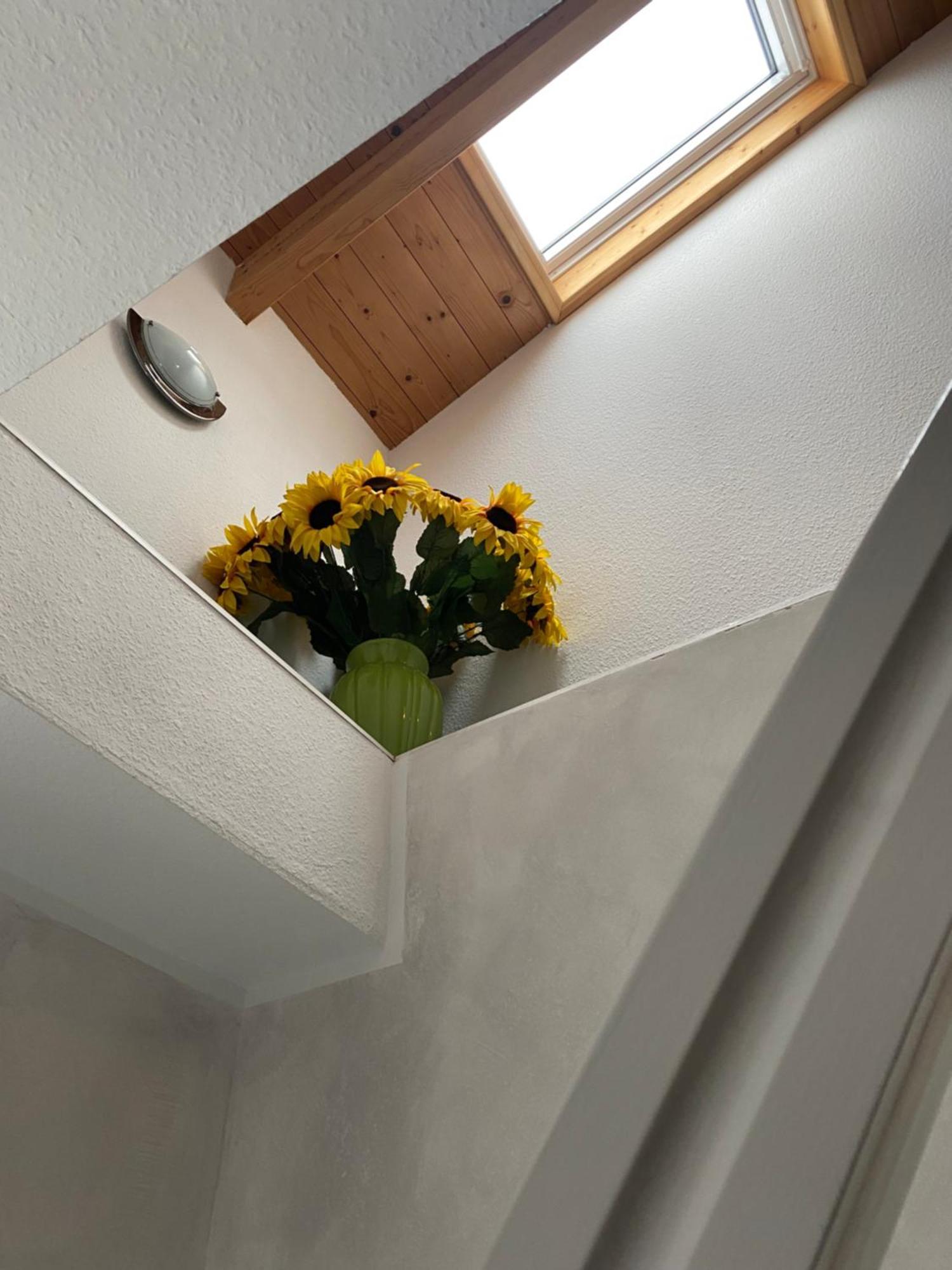 Apartment Haus Seewind Warnemuende